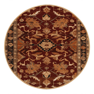 Machine Washable Turkish Brown Area Rug