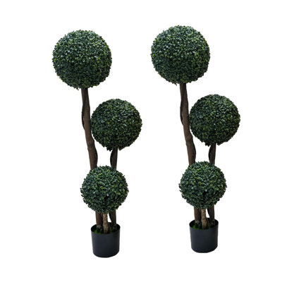 89cm Plant