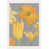 Orange/Yellow/Green/Gray