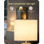 Lampe de table 12,6 po Boho -796426714