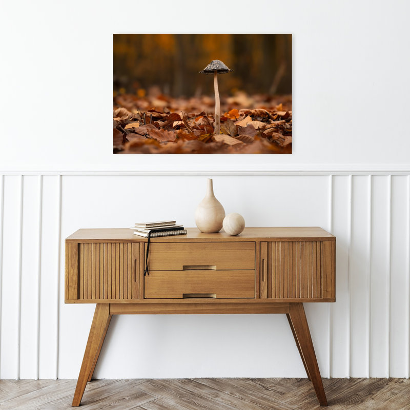 Forêt d'automne, champignons, bio, abstrait, paisible, affiche murale, H 16 po x l 24 po