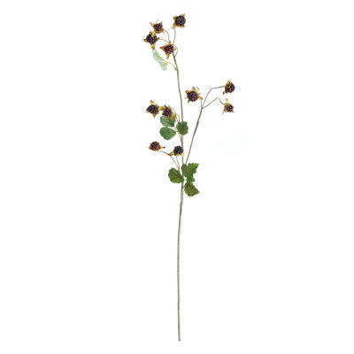 Wild Blackberry 31-Inch Stem