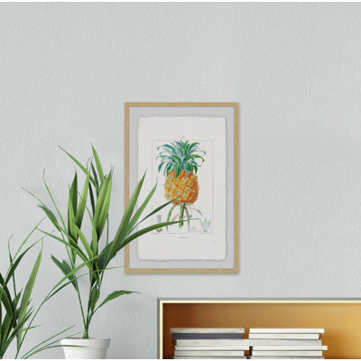 Botanical Pineapple - Single Picture Frame Print
