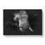 African Elephant - Wrapped Canvas-56648202