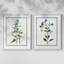 Impression encadrée Shabby Elegance Botanical I-Premium - prête à être accrochée - aucun clou requis - aucun clou requis-1992462129-1992462122