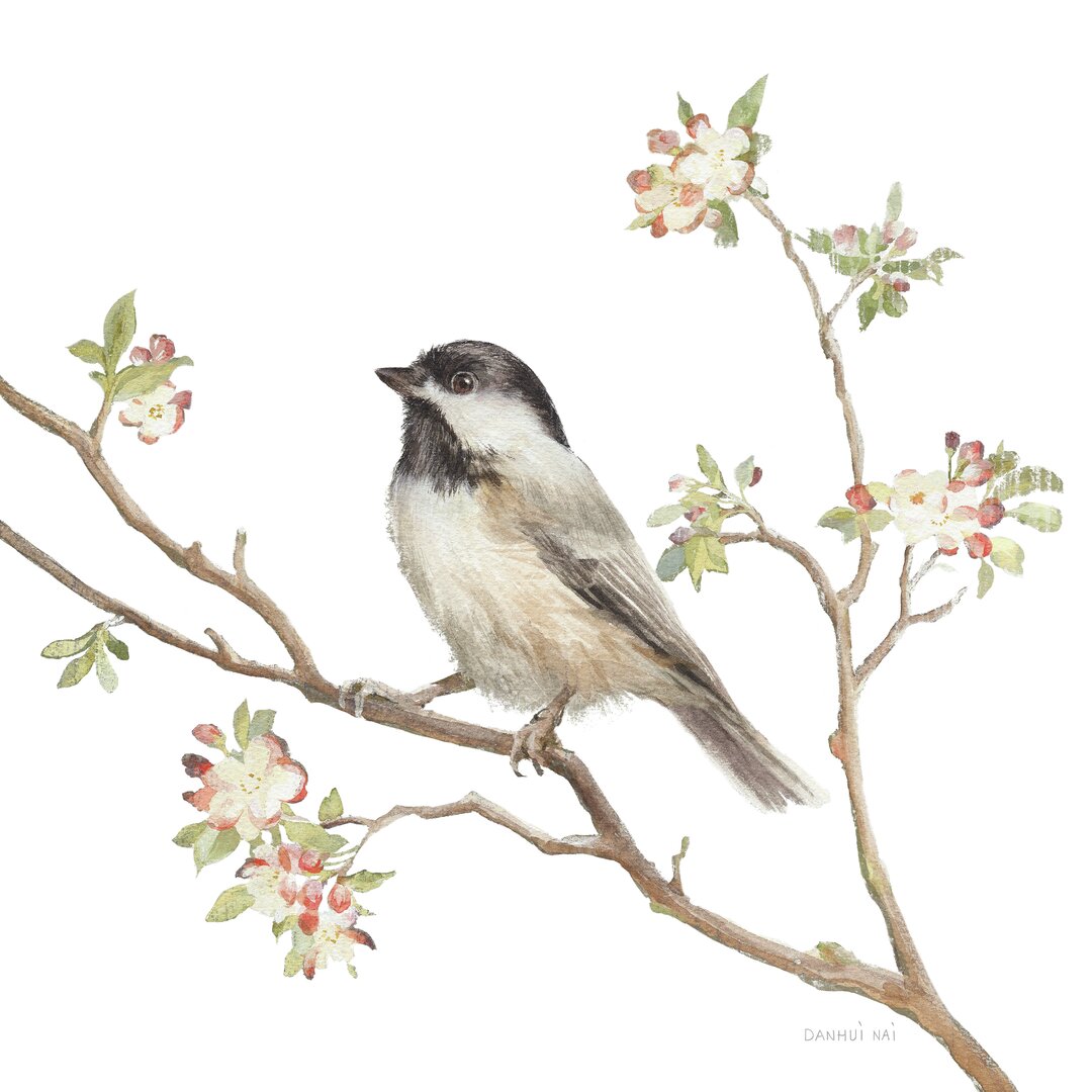 Leinwandbild Black Capped Chickadee V2 on White von Danhui Nai