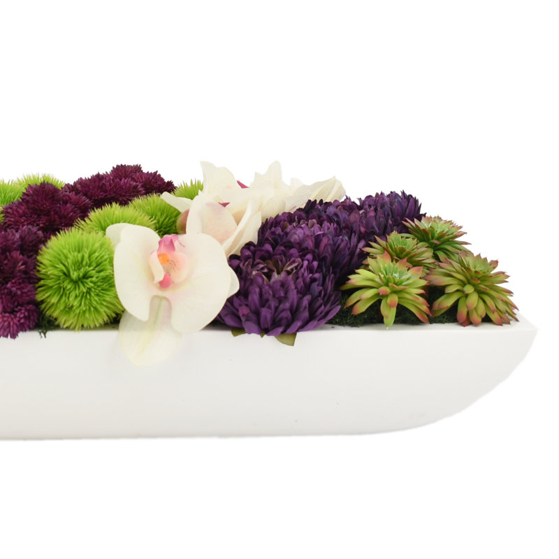 Orchidée Adelina et arrangement de plantes grasses, H 7 po x l 26 po x P 11 po