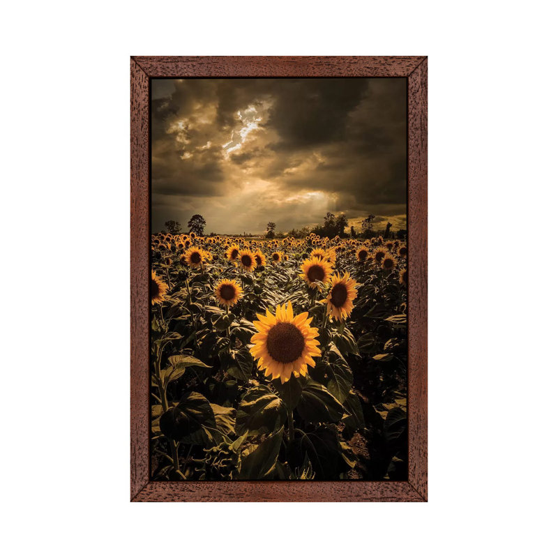 Sunflowers 1 Piece Wall Art on Canvas, 101.6 cm H x 66.04 cm W, Brown Floater Framed