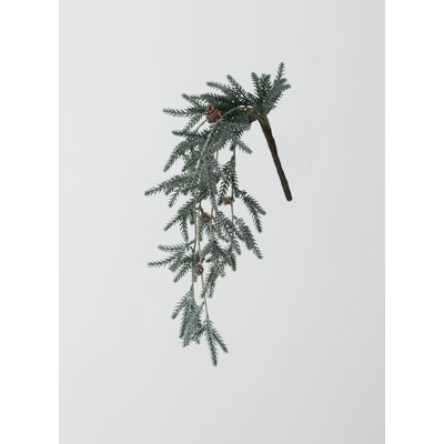 Buissons de sapin de neige