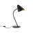 Organic Metal Desk Lamp