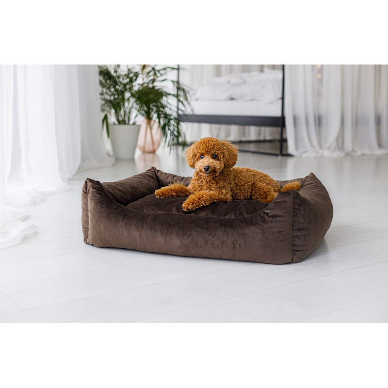 Stetson Velour Pet Bed, Brown, 18cm H x 63cm W x 51cm D, Medium