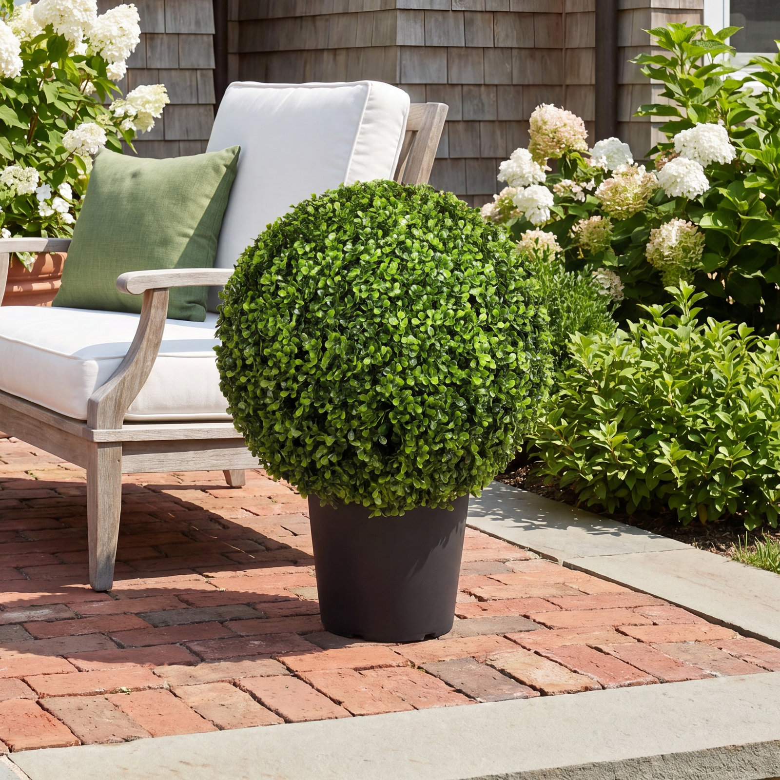 29" Boxwood Topiary in Pot, 29" H x 24" W x 24" D