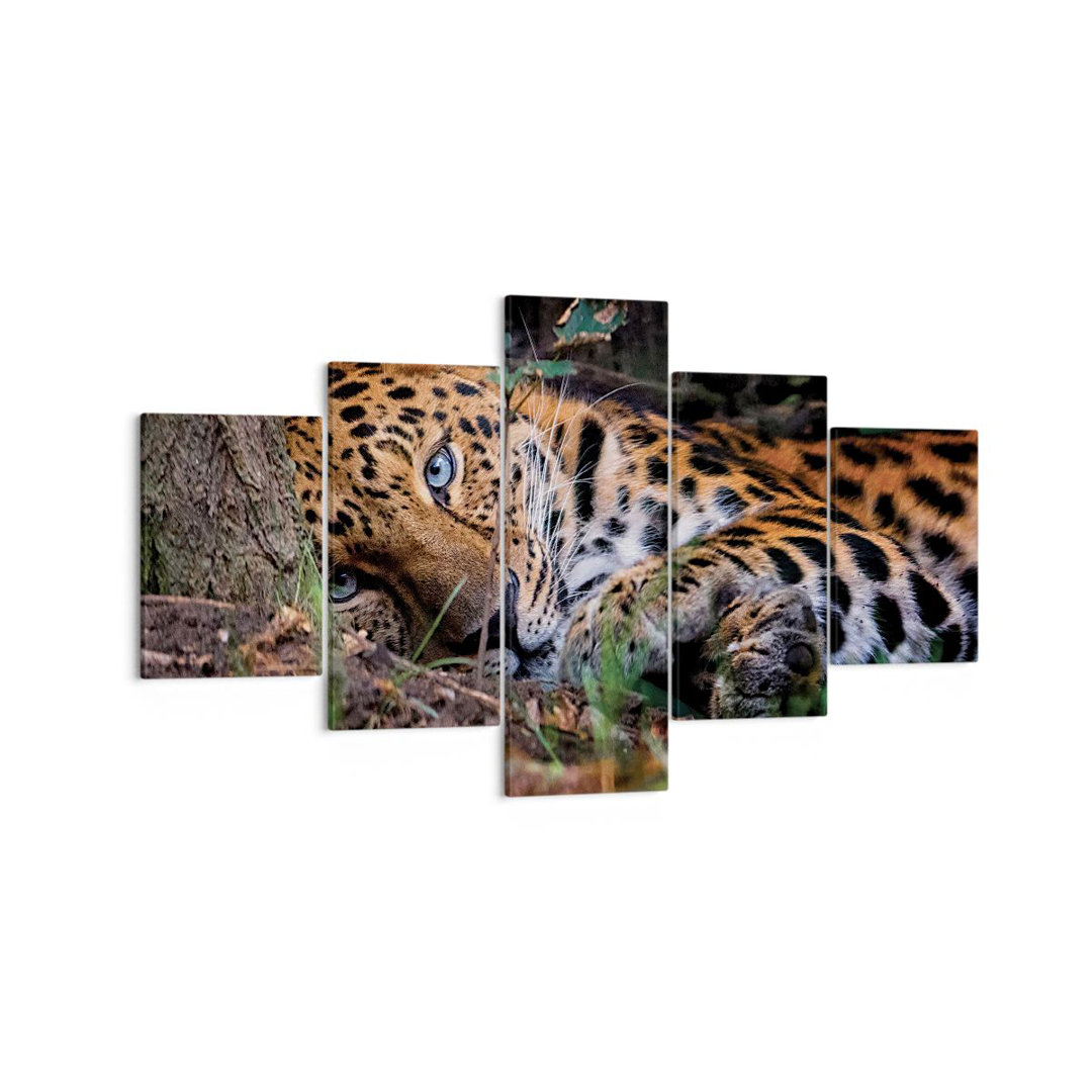 5-tlg. Leinwandbilder-Set Leopard Portrait Jaguar