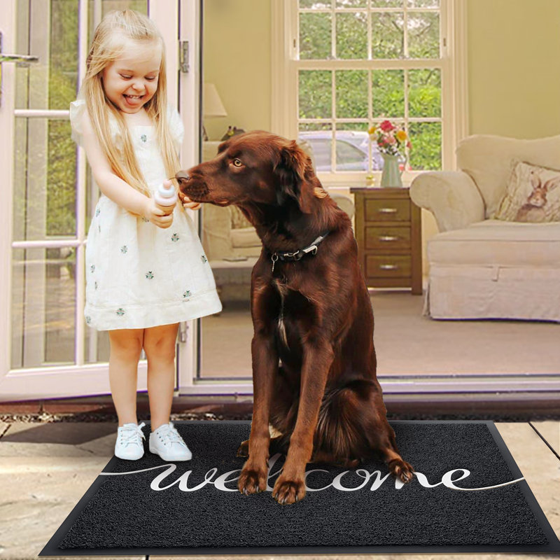 Non Slip Outdoor Doormat Front Door Welcome Mat, 24" W x 36" L
