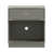 Bouleau argent
