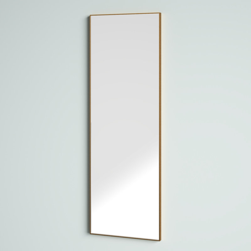 Foran Rectangle Wall Mirror, Gold, 60" H x 20" W