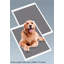 Lit orthopédique pour animaux en polyester
