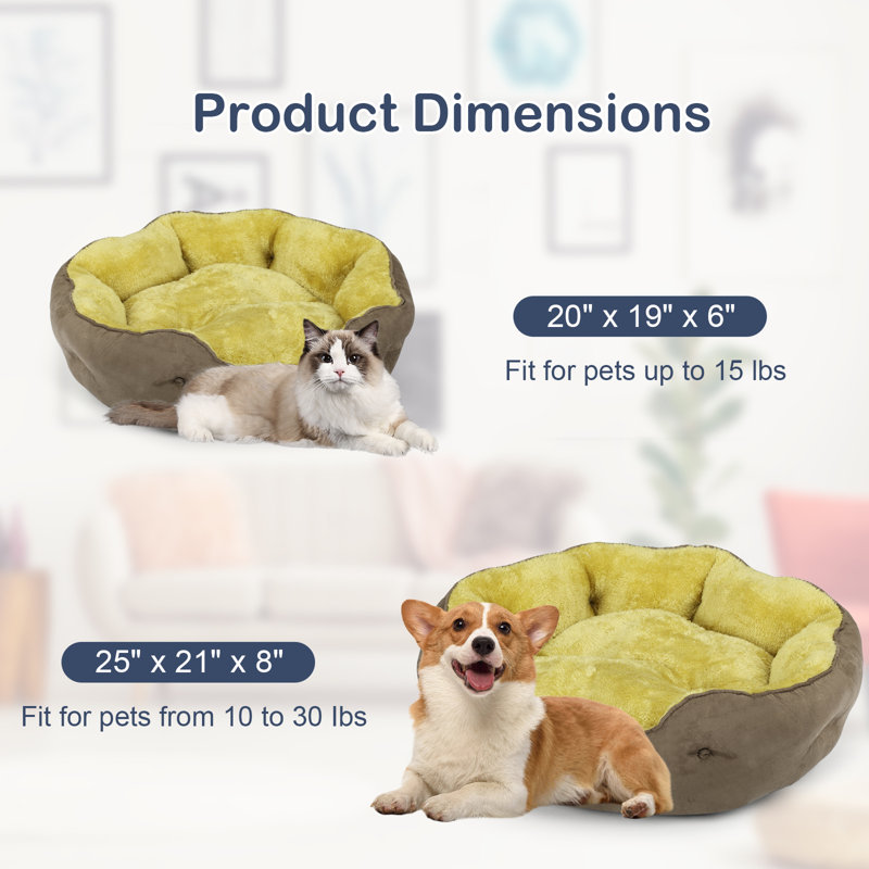 Lit rond pour chat, Petit (L 20 po x l 19 po), Jaune brunâtre