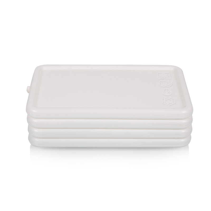 Set of 4 Ice Packs Danara