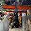 Statue de singe chimpanzé suspendu grandeur nature
