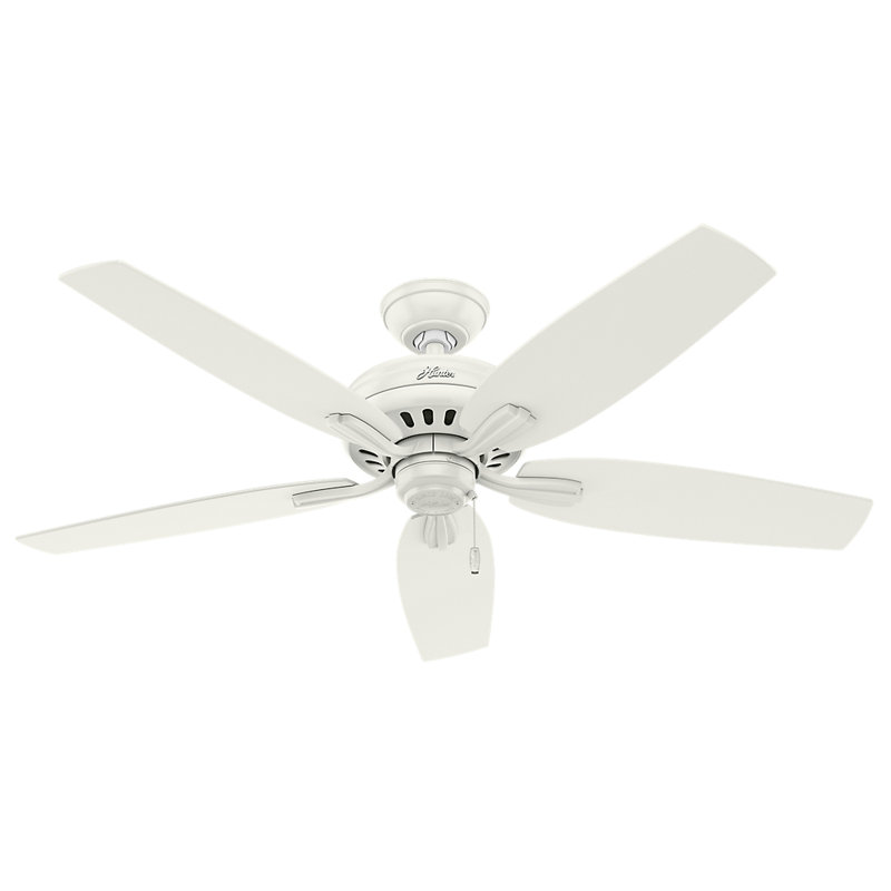 52" Newsome 5 - Blade Outdoor Standard Ceiling Fan with Pull Chain, Fresh White
