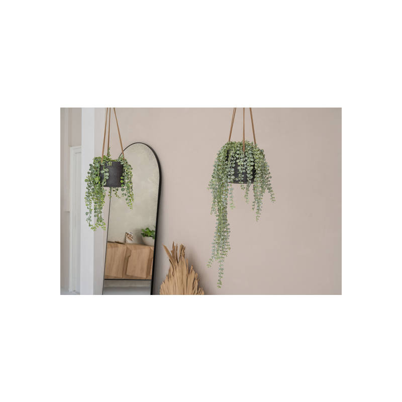 Gray Fiberstone Hanging Pot, 7" W x 7" D x 7" H, Black