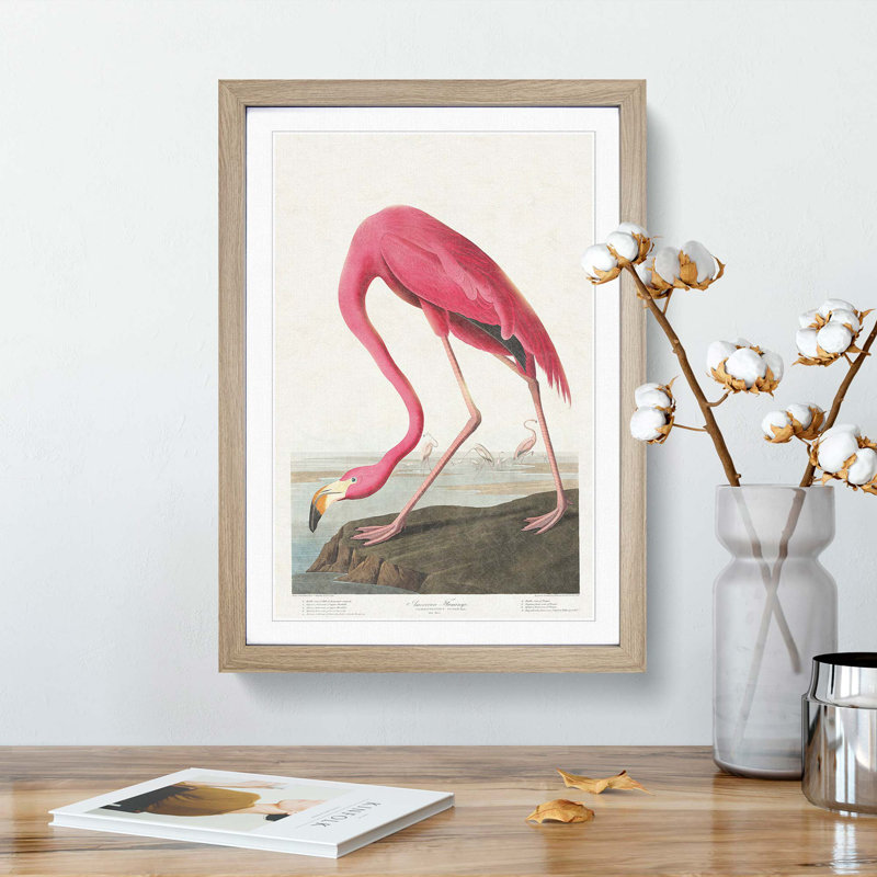 Pink Flamingo by John Audubon - Picture Frame Painting Print, Oak Framed, 48cm H x 36cm W x 2cm D