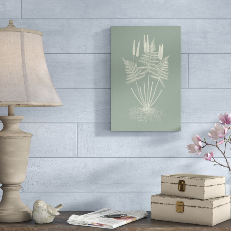 Ferns On Sage VII by Vision Studio - Painting on Canvas, 46cm H x 30cm W, Wrapped Canvas
