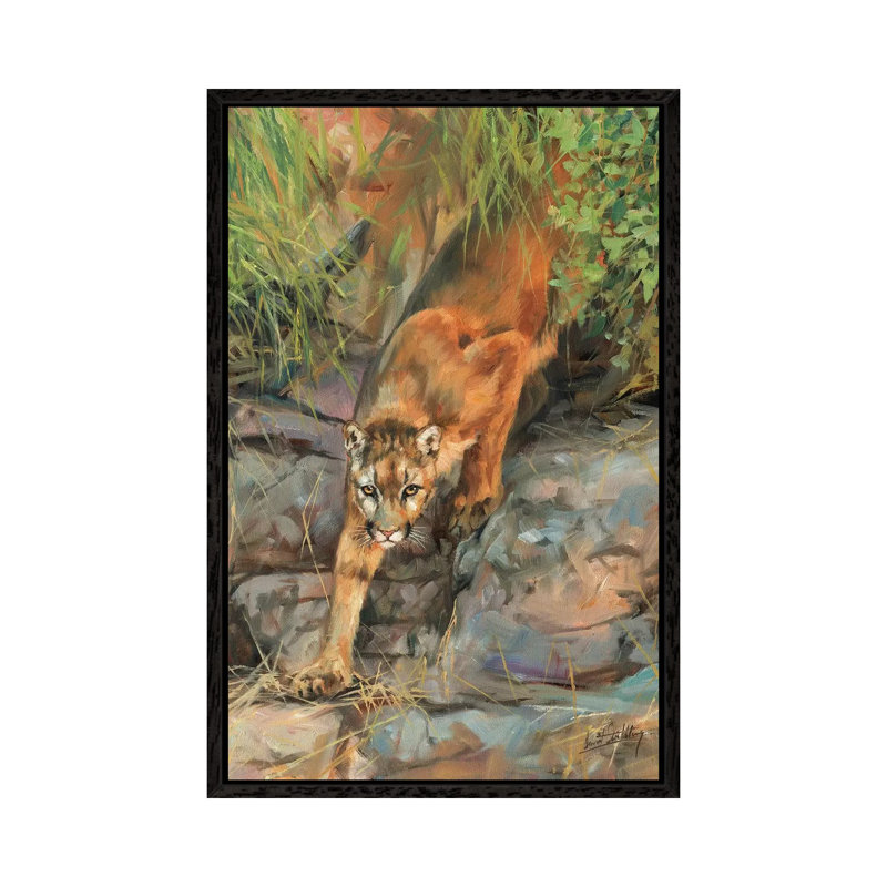 Mountain Lion II by David Stribbling - Gallery-Wrapped Canvas Giclée on Canvas, 66.04 cm H x 45.72 cm W, Black Framed