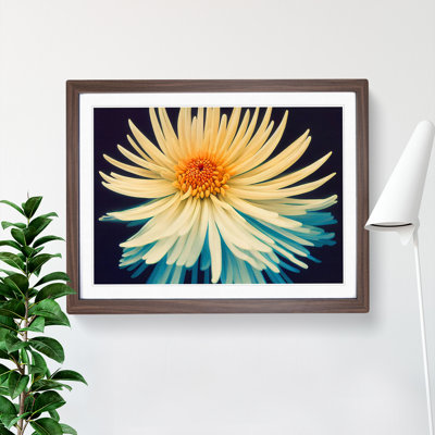 Intriguing Chrysanthemum Flower - Framed Print