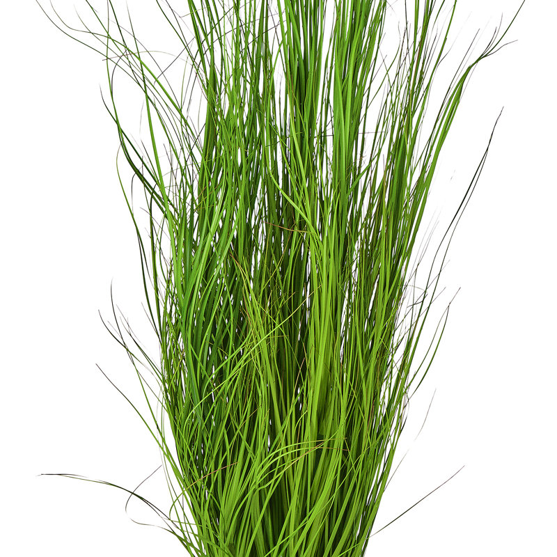 Herbe de fontaine en pot 60 po UV, 48 in x 17 in