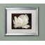 « white tulip iii », reproduction de photo sur toile encadrée-32707334-32707339