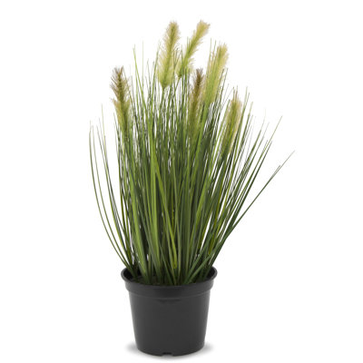 57 cm H Faux Pampas Grass Plant in Earthenware Pot
