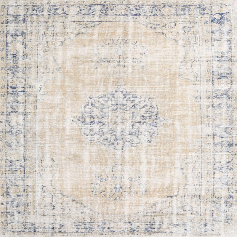 Tapis beige/gris traditionnel, Rectangle 5 pi x 7 pi