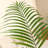 Adcock Artificial Palm Plant in Pot-1326156691