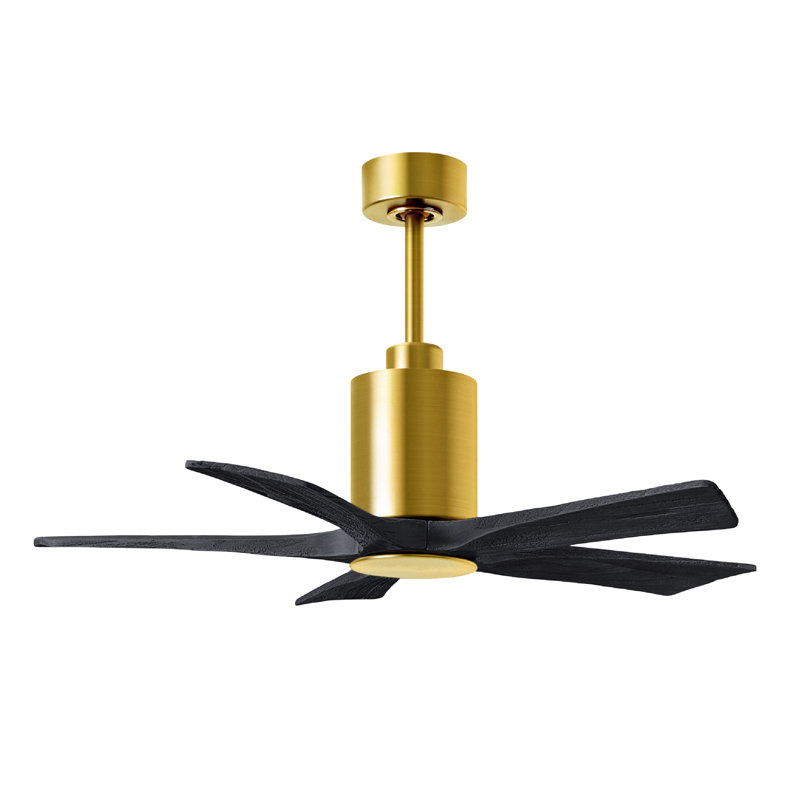 Patricia LED Downrod Ceiling Fan, Matte Black, Brushed Brass