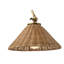 Padma 1 - Light Dimmable Brown Swing Arm