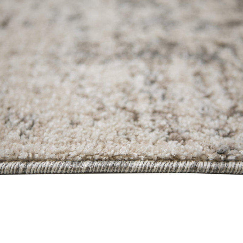 Tapis gris Alynnai, Rectangle 5 pi 3 po x 7 pi 3 po