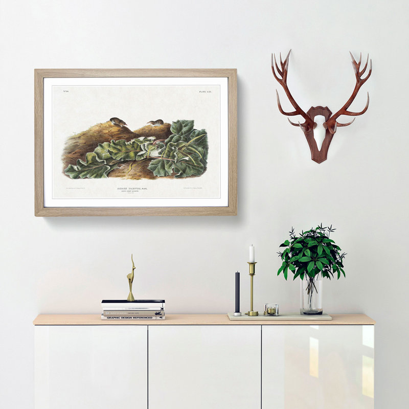 Least Shrew by J.W. Audubon - Picture Frame Painting Print, 27cm H x 36cm W x 2cm D, Oak Framed