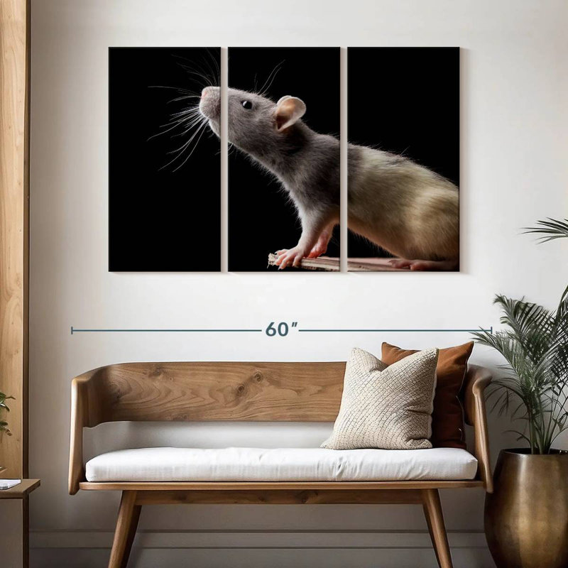 Brampt Rat Close Up, 32" H x 50" W