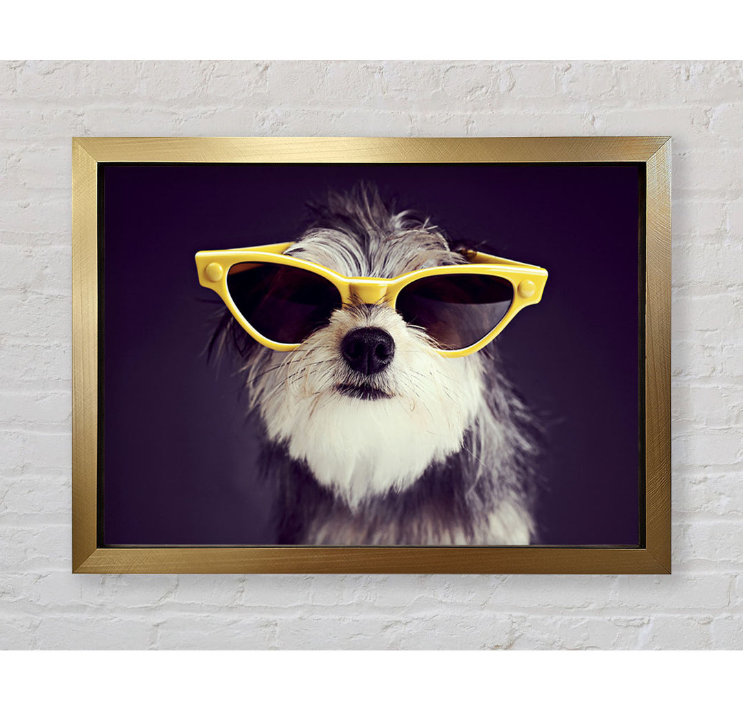 Sonnenbrille Hund Pooch - Druck