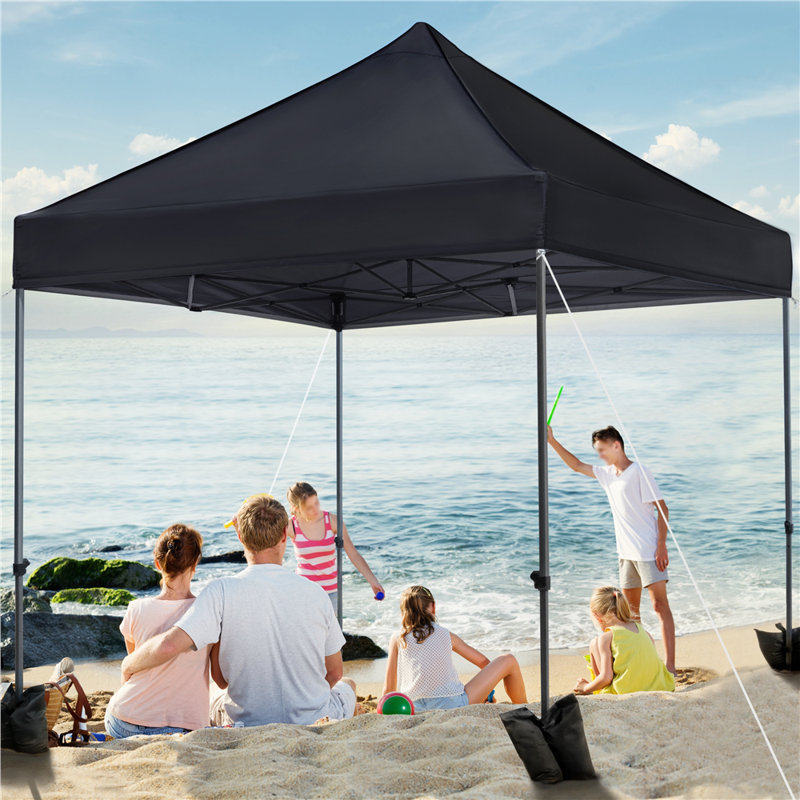 Camdyn 10 Ft. W x 10 Ft. D Steel Pop-Up Canopy, Black