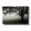 «Misty Bench» par PhotoINC Studio-583813396