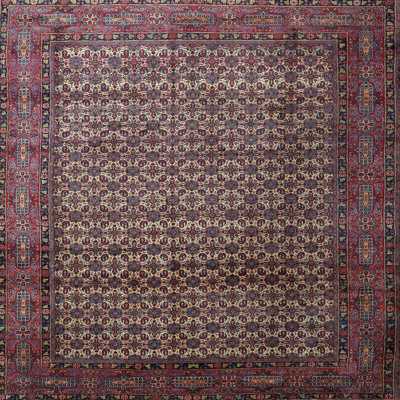 Zichichi Oriental Indoor Rug
