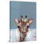 «Bonjour Giraffe», reproduction sur toile tendue-27175416