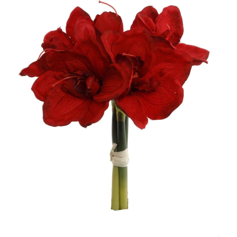 12.5" Amaryllis Bouquet - 3 Pack