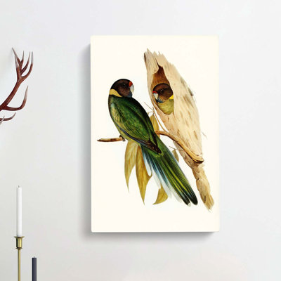 Yellow-Collared Parakeets by Elizabeth Gould - Wrapped Canvas Painting
