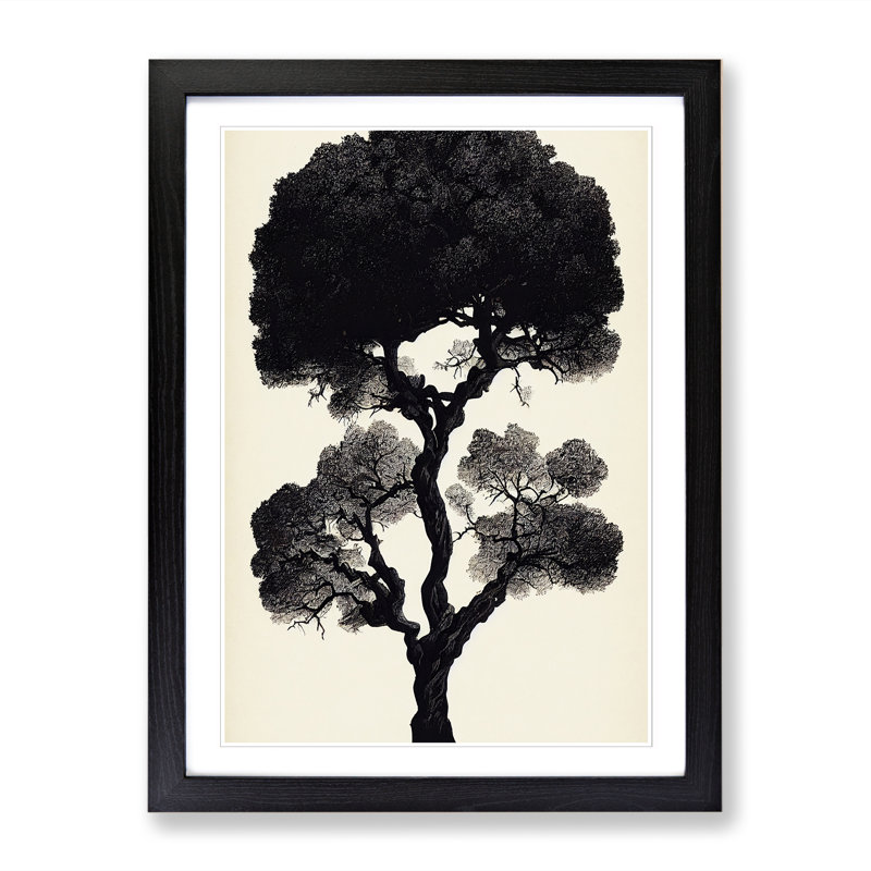 Pear Tree Shadow Vol.1 - Single Picture Frame Print, Black, 64cm H x 46cm W x 2cm D