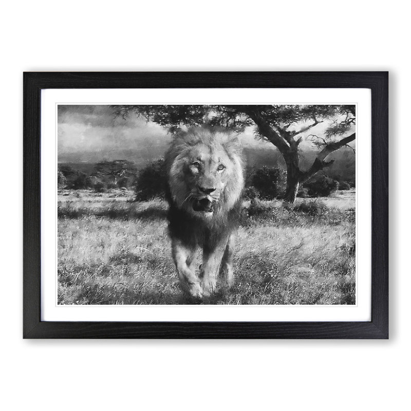 Lion Vol.5 - Picture Frame Graphic Art, Black Framed, 27cm H x 36cm W x 2cm D