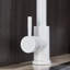 Belfry Kitchen Burna Kitchen Faucet Side Spray